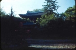 Chang Duk Palace gardens