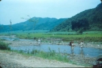 Korean farmers