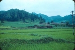 Korean farm South of Seoul