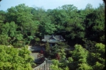 Chang Duk Palace surrounded by trees